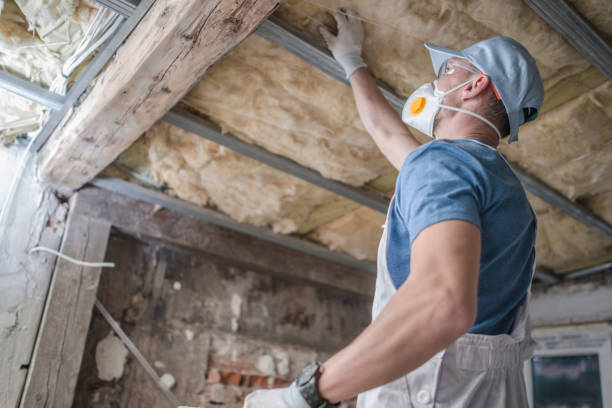 Garage Insulation Installation in Hot Springs, AR